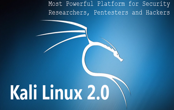 Kali Linux: proteggiti dagli attacchi hackers